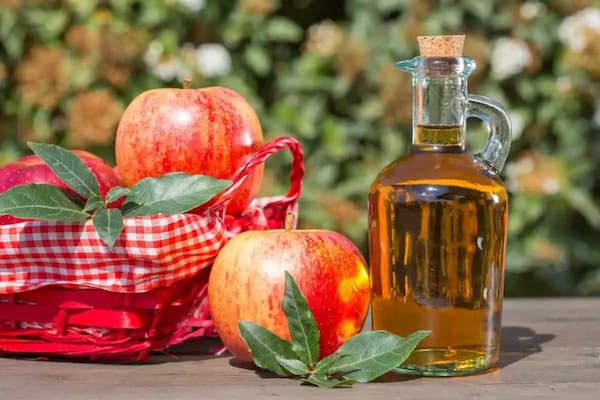 تصویر 1 از خرید سرکه سیب خانگی + قیمت فروش استثنایی